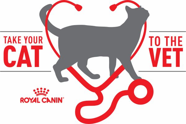 Royal Canin - Cat2Vet